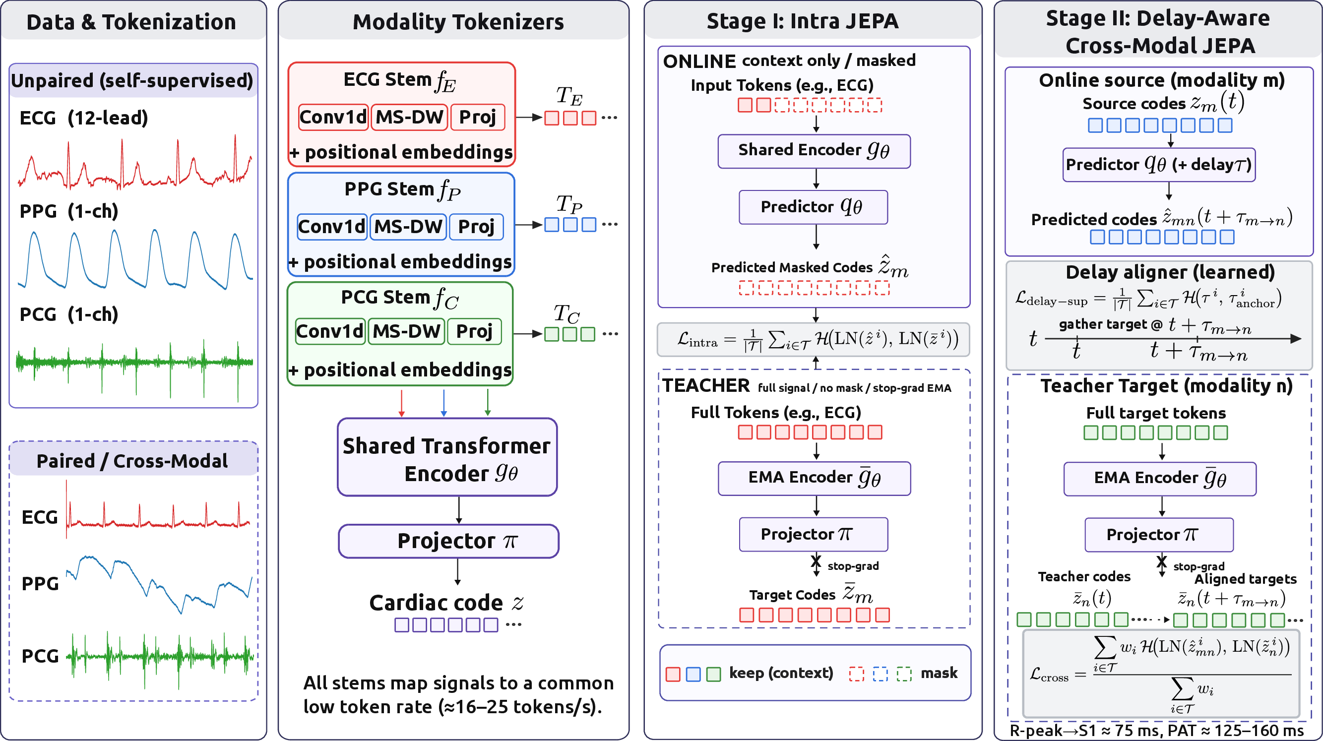 CardioState-JEPA architecture overview